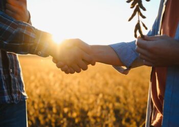 Crônica • Silvestre Falcão, “Você vai ser importante para eles”!