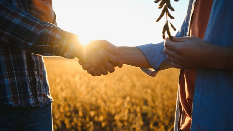 Crônica • Silvestre Falcão, “Você vai ser importante para eles”!