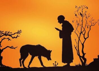 Crônica • Os lobos de Francisco