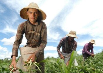 1° Encontro Sul Capixaba Bem Viver da Agricultura Familiar acontece neste domingo (27)