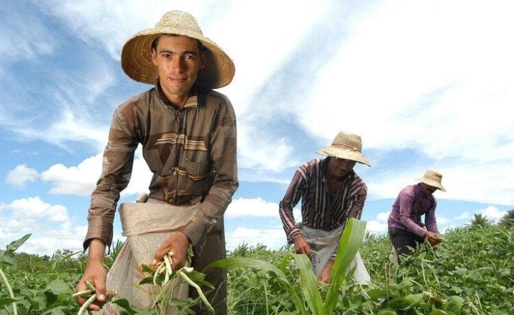 1° Encontro Sul Capixaba Bem Viver da Agricultura Familiar acontece neste domingo (27)