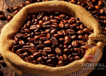 Prêmio de Cafés Especiais do Governo do ES recebe inscrições até 11 de outubro