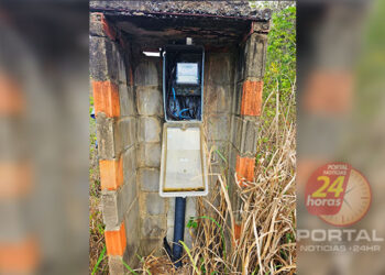 Polícia Civil e EDP flagram furto de energia em propriedade rural de Rio Bananal (ES)