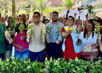 [Arranjos Produtivos] Agricultores de Itapemirim (ES) recebem mudas de maracujá