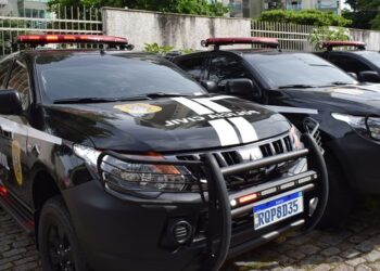 Delegacia de Afonso Cláudio conclui investigação de homicídio e indicia os autores