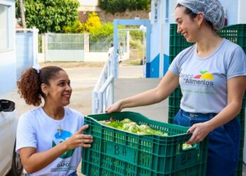 Feira da Bondade: visitantes poderão doar alimentos na entrada do evento