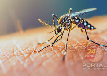 Dia Nacional de Combate à Dengue: uma luta de todos