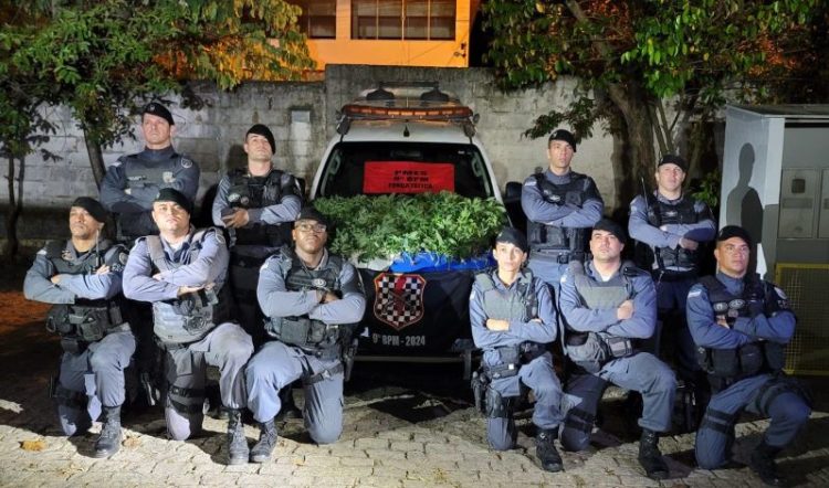 [Cachoeiro] Polícia Militar ‘estoura’ laboratório de cultivo de maconha na Tijuca