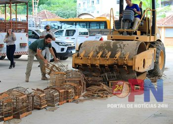 [Muqui] Gaiolas apreendidas em ações de fiscalização ambiental do Iema são destruídas