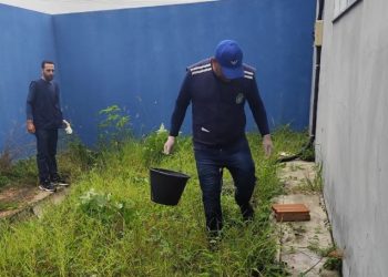 [Marataízes] Proliferação de caramujos africanos preocupa Vigilância Ambiental