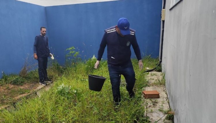 [Marataízes] Proliferação de caramujos africanos preocupa Vigilância Ambiental