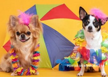 [1º CarnaPet] Evento acontece neste domingo (23) em Cachoeiro