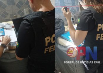 PF combate pornografia infantil na internet no ES