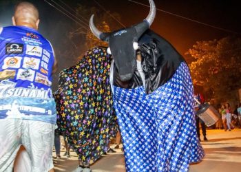 [Boi babão] Grupos culturais divulgam “Nota de Repúdio” à opinião expressada por jornalista cachoeirense