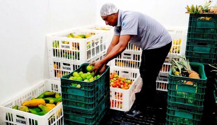 [Cachoeiro] Semdes fez mais de 15 mil atendimentos nos 100 primeiros dias de Ferraço e Júnior Corrêa