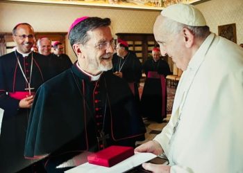 Artigo • O caminho proposto pelo Papa Francisco: acolher, acompanhar, discernir e integrar (por Dom Luiz)