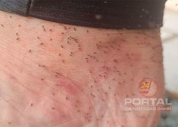 [Oropouche] Saúde confirma primeiro óbito por dengue no Espírito Santo