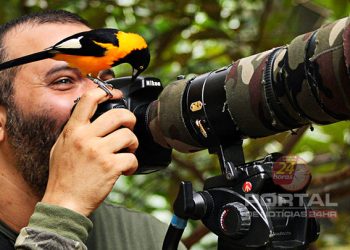 [Capixaba] Fotógrafo comemora 20 anos de registros da natureza; veja galeria