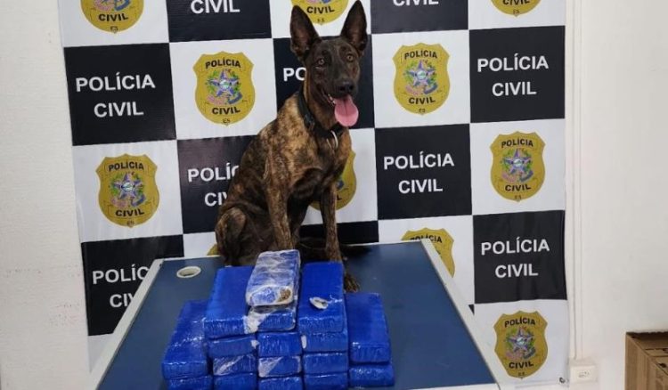 PC e Correios apreendem 10 quilos de maconha enviados por encomenda para Cachoeiro