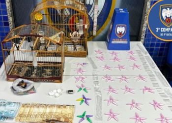 PM prende quatro por tráfico e apreende grande quantidade de drogas em Cachoeiro e Castelo