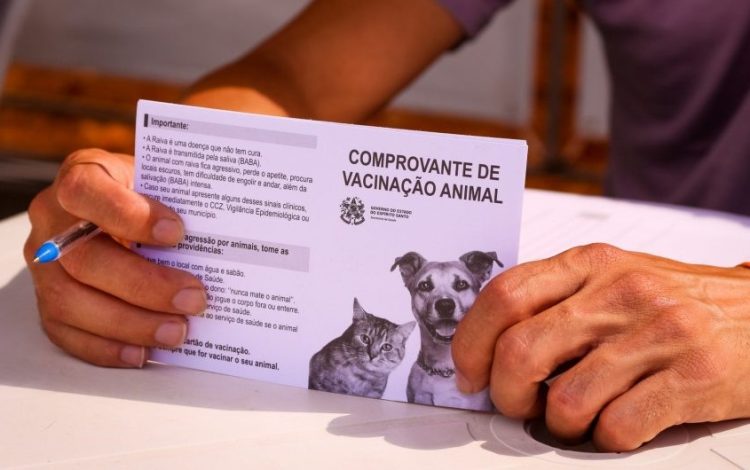 [Cachoeiro] Sábado tem vacinação antirrábica nos distritos do município. Confira os horários!