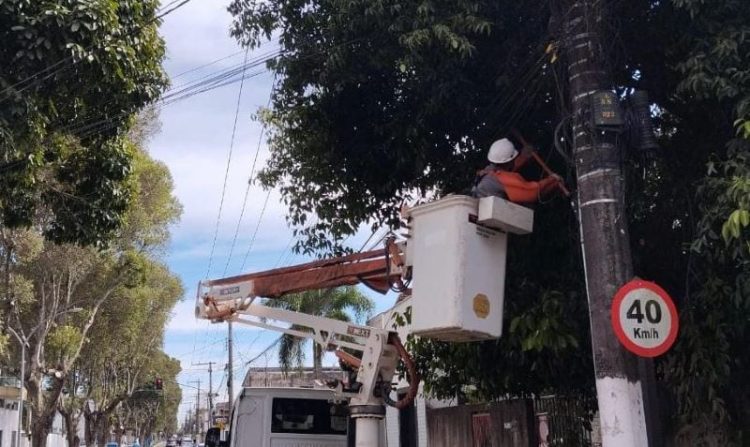 [Domingos Martins] EDP realiza mutirão para melhorias na rede elétrica no distrito de Nossa Senhora do Carmo