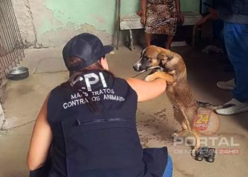 [Ales] Dados reforçam a importância de medidas de proteção aos animais