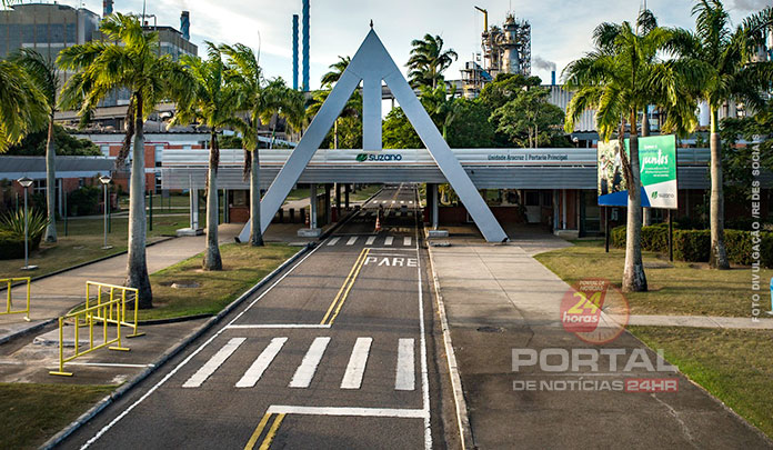 Suzano está com oportunidade para Consultor(a) de Relações Corporativas no ES