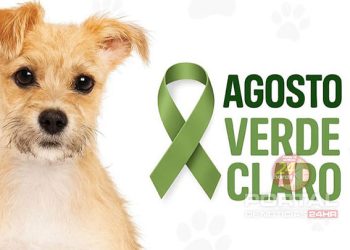 [Agosto Verde Claro] Cachoeiro realiza campanha para prevenção da leishmaniose
