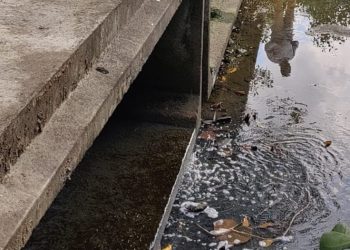 [Vitória] Esgoto irregular ameaça córrego em Jardim Camburi