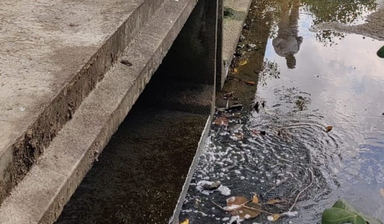 [Vitória] Esgoto irregular ameaça córrego em Jardim Camburi