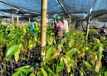 [Vargem Alta] Feira da Agricultura Familiar será neste sábado (20) em Jaciguá