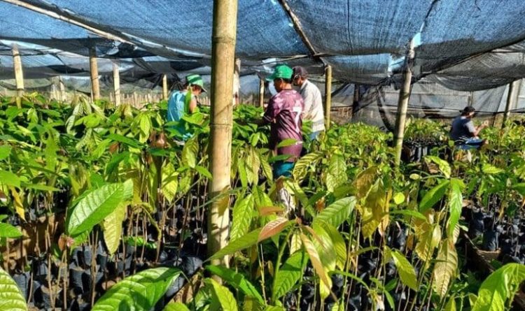 [Vargem Alta] Feira da Agricultura Familiar será neste sábado (20) em Jaciguá