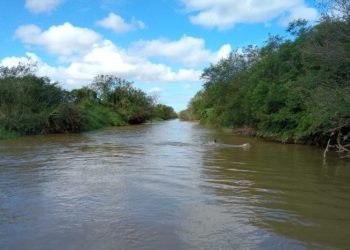 Fragmentos • Viver é Silenciar e Navegar