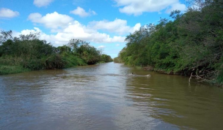 Fragmentos • Viver é Silenciar e Navegar