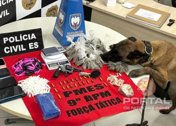 [Castelo] Polícia Civil e Polícia Militar realizam a Operação Expurgo