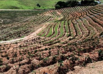 [Muniz Freire] Temporal causa prejuízos de R$ 13 milhões na safra de 2026