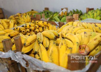 [Cariacica] Divulgado resultado da chamada pública da agricultura familiar para o Programa de Aquisição de Alimentos