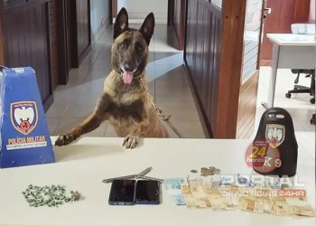 PM apreende drogas e detém três homens em zona rural de Domingos Martins
