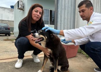 [Marataízes] Começa terceira etapa da vacinação de cães contra cinomose