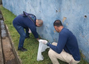 [Marataízes] Vigilância Ambiental intensifica combate ao caramujo-africano