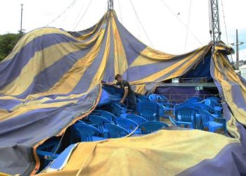 Artigo • A esquerda e o ‘reboleixon’