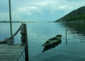 Artigo • Espera Maré