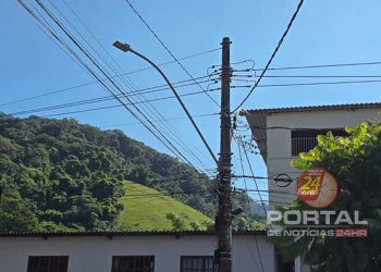 EDP inicia primeira etapa de limpeza de postes no município