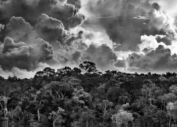 “Amazônia”, de Sebastião Salgado, chega ao Espírito Santo com exposição imperdível