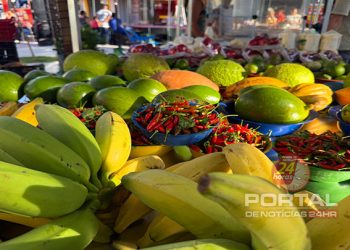 [Cariacica] Quinta (23) tem Feira de Agricultura Familiar no Polo Gastronômico