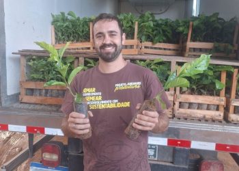 Caravana do Arranjos Produtivos entrega 161,5 mil mudas no norte