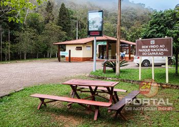Espírito Santo ganha rota especial que valoriza a cultura cafeeira do Caparaó