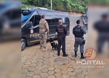 PF e PM/ES combatem tráfico de drogas no Espírito Santo