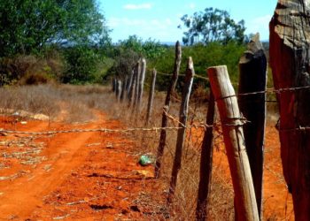 Crônica • Vivendo de Y a Z …